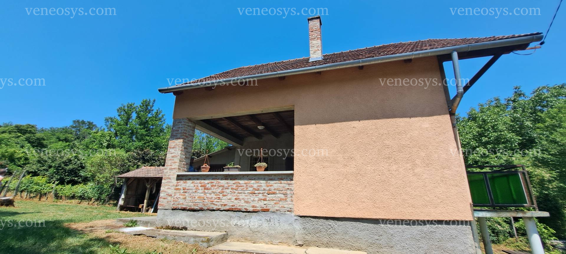 Kép 7