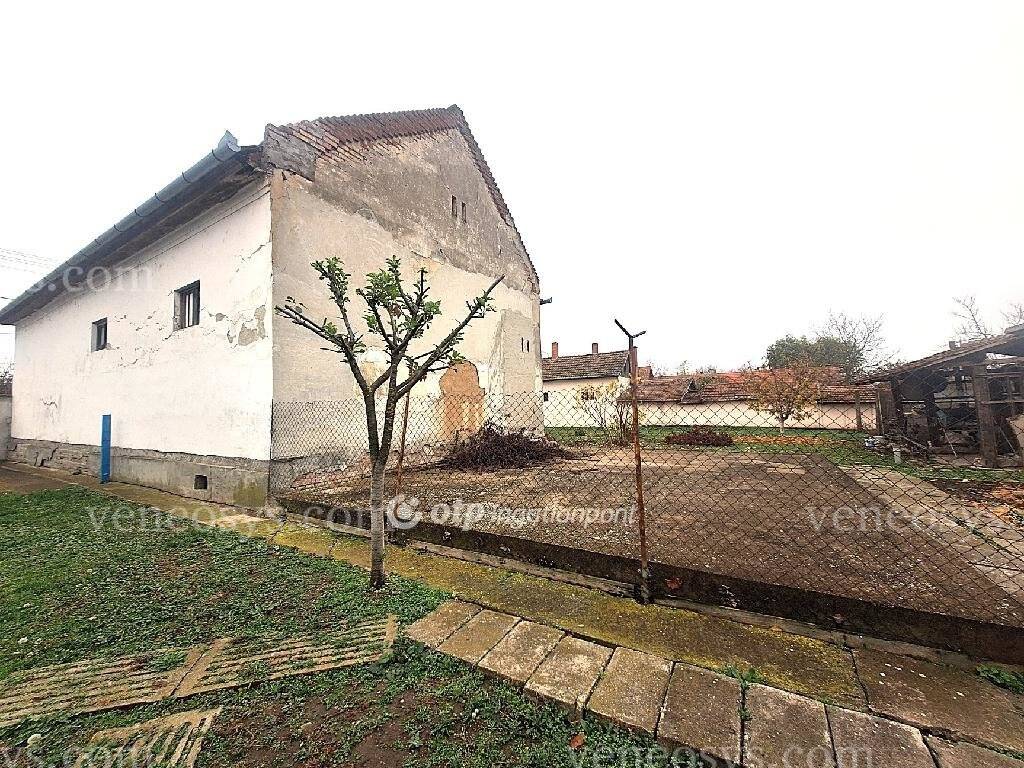 Kép 4