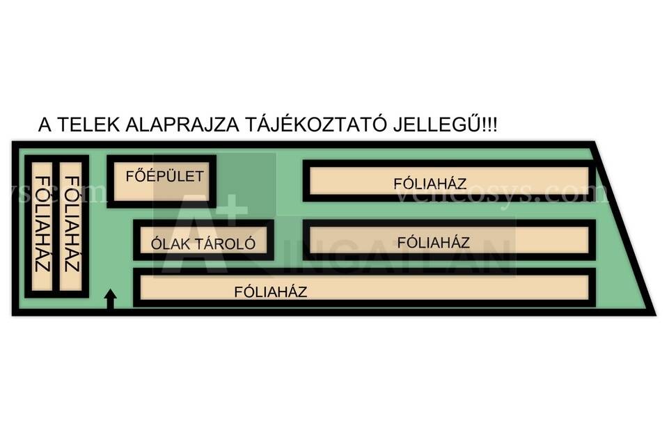 Kép 8