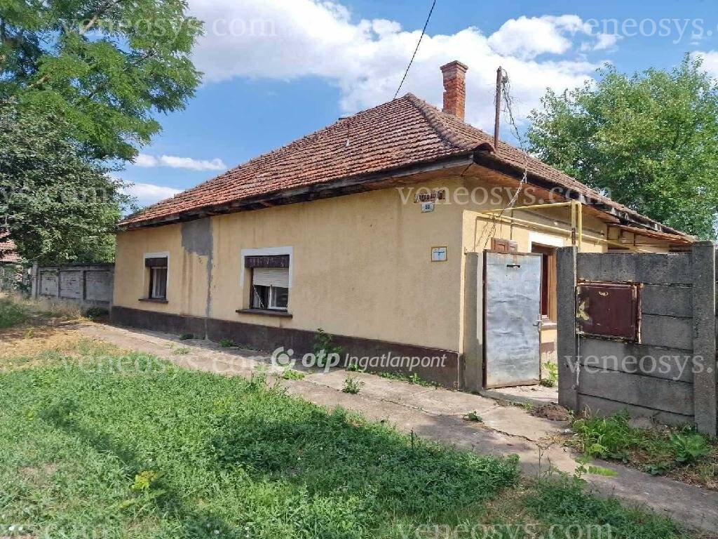 Kép 13