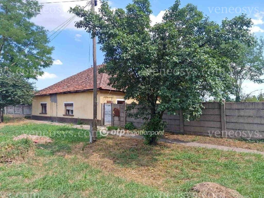 Kép 8