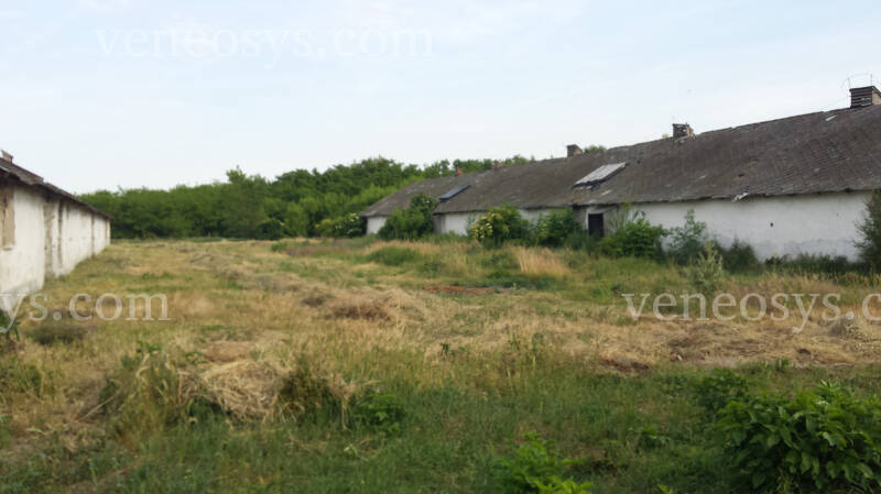 Kép 5