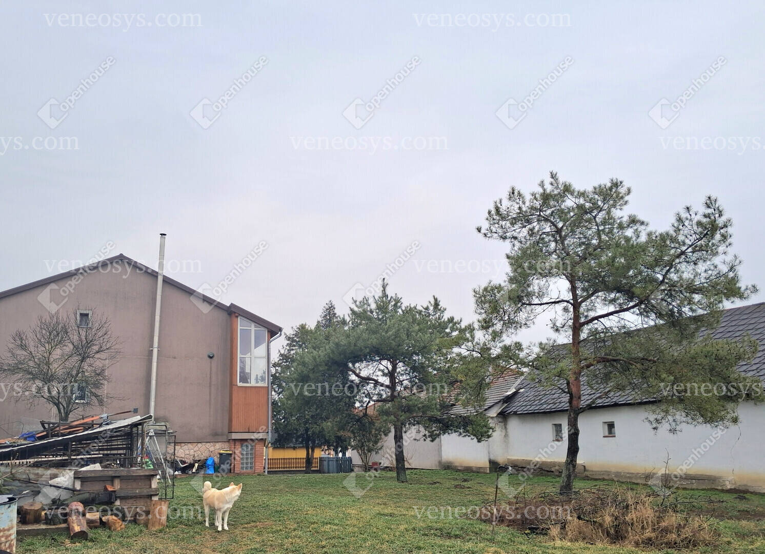 Kép 29