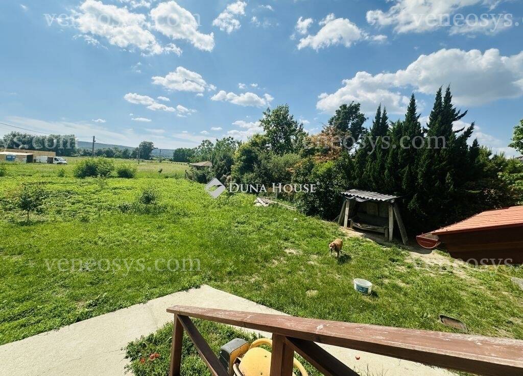 Kép 5