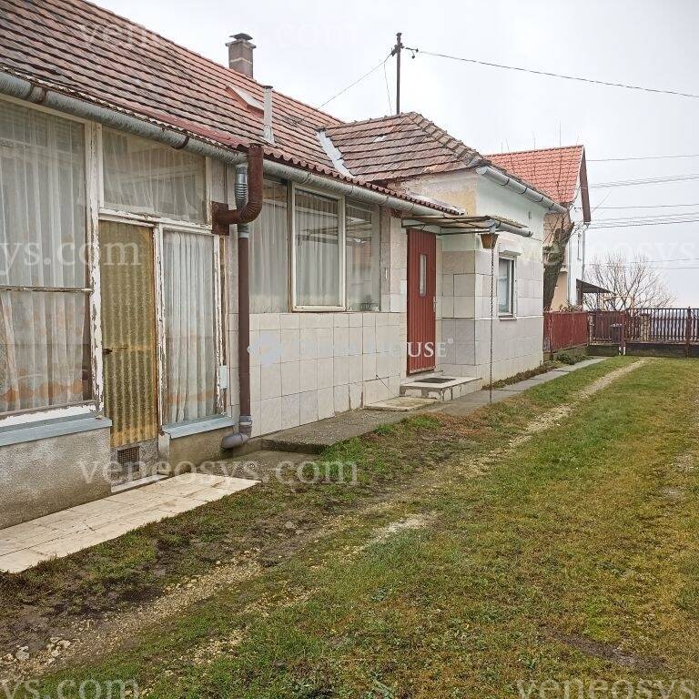 Kép 6