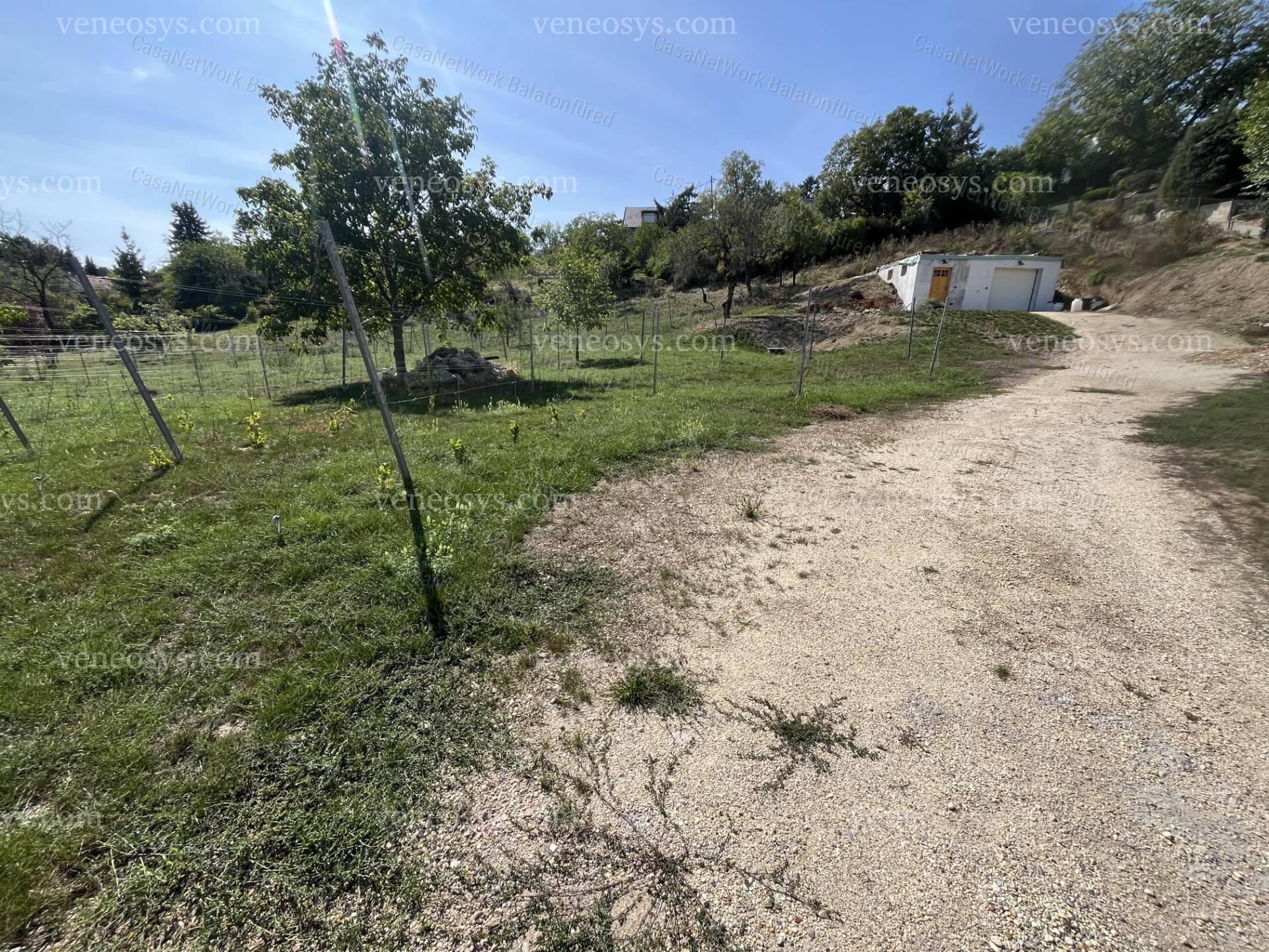 Kép 6
