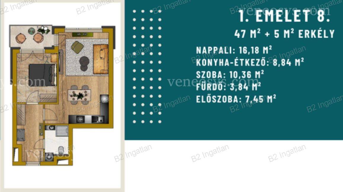 Kép 5