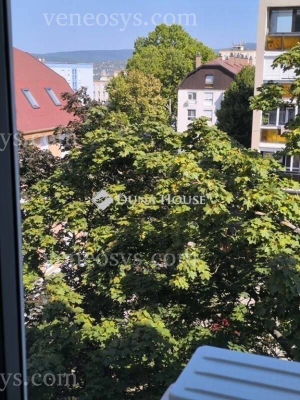 Kép 15
