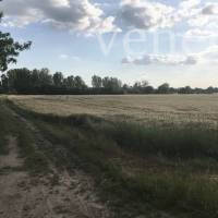 Kép 1