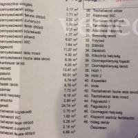 Kép 13