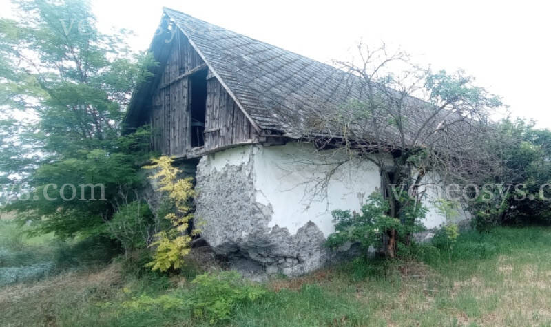 Kép 5