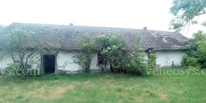 Kép 10
