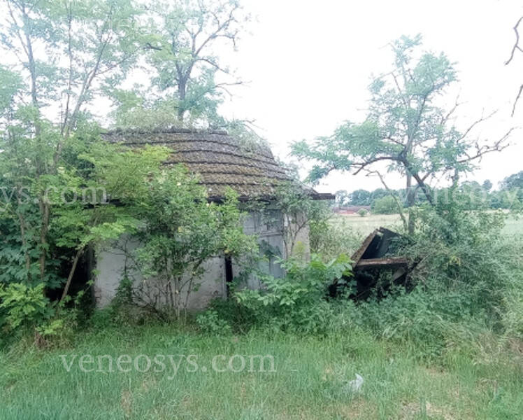 Kép 7