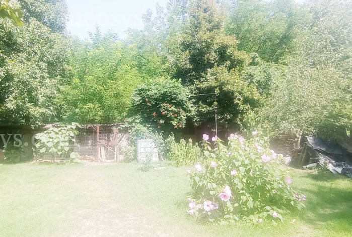 Kép 15