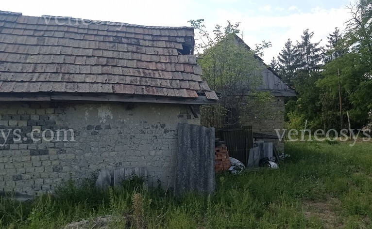 Kép 3
