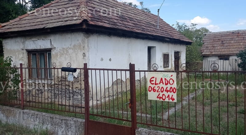 Kép 1