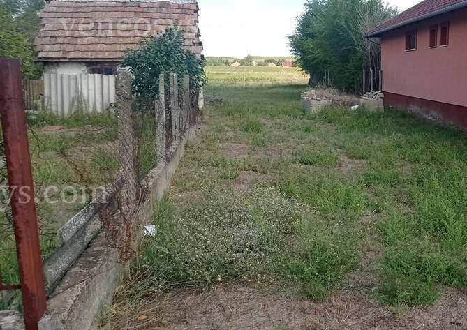 Kép 4