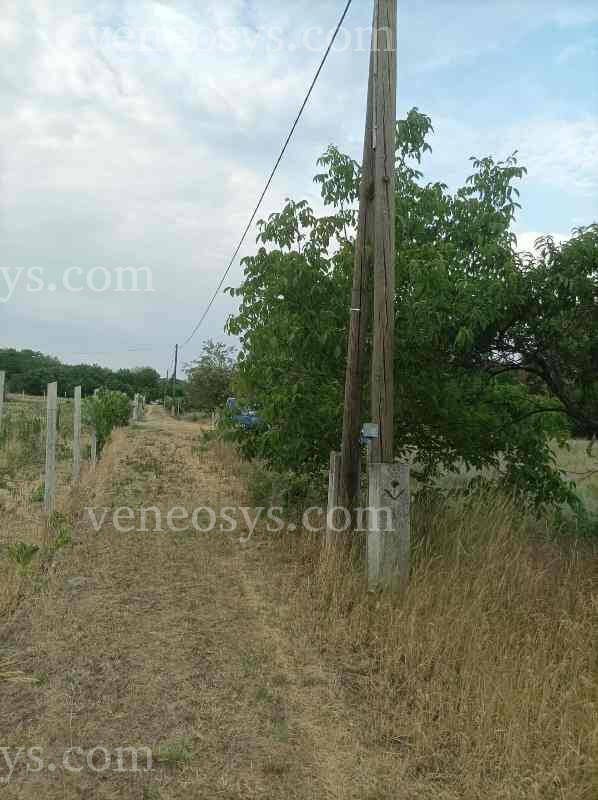 Kép 2