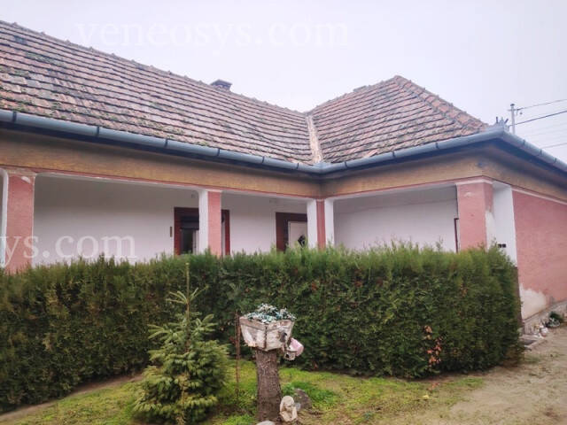 Kép 1