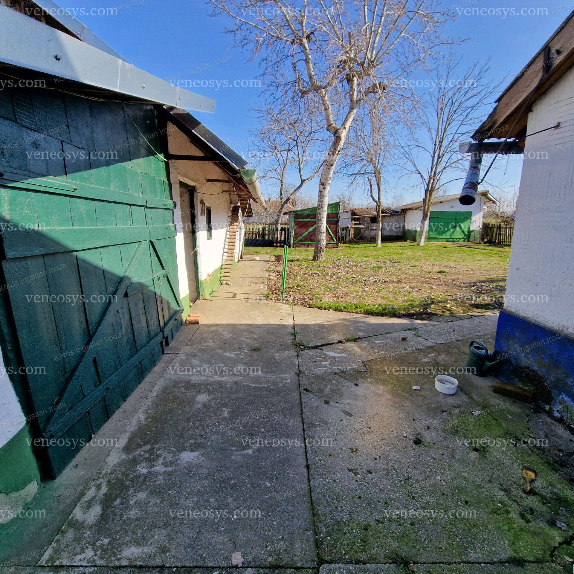 Kép 23