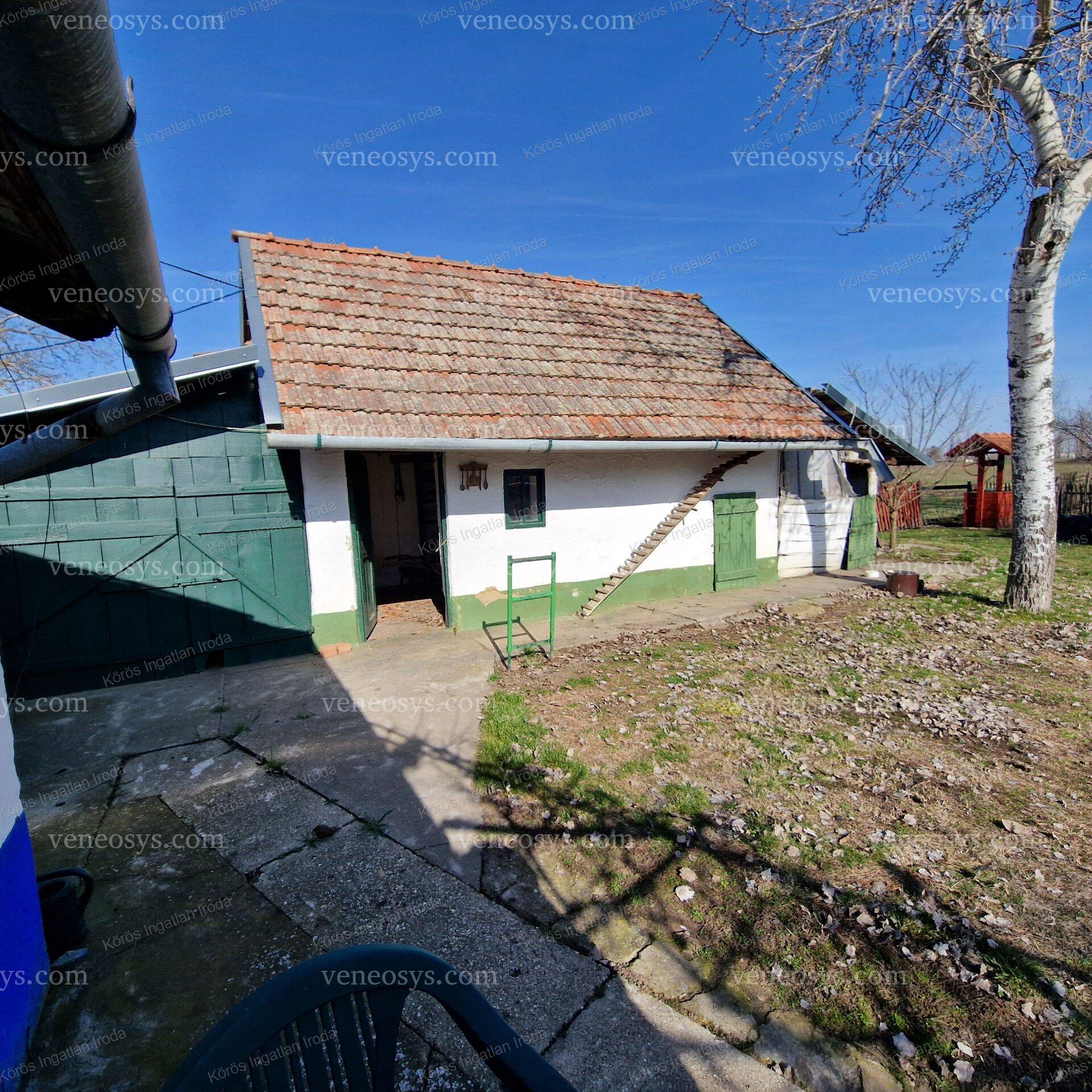 Kép 24