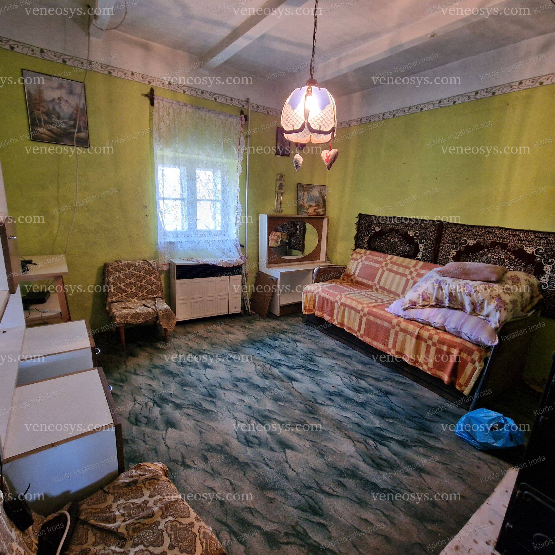 Kép 10