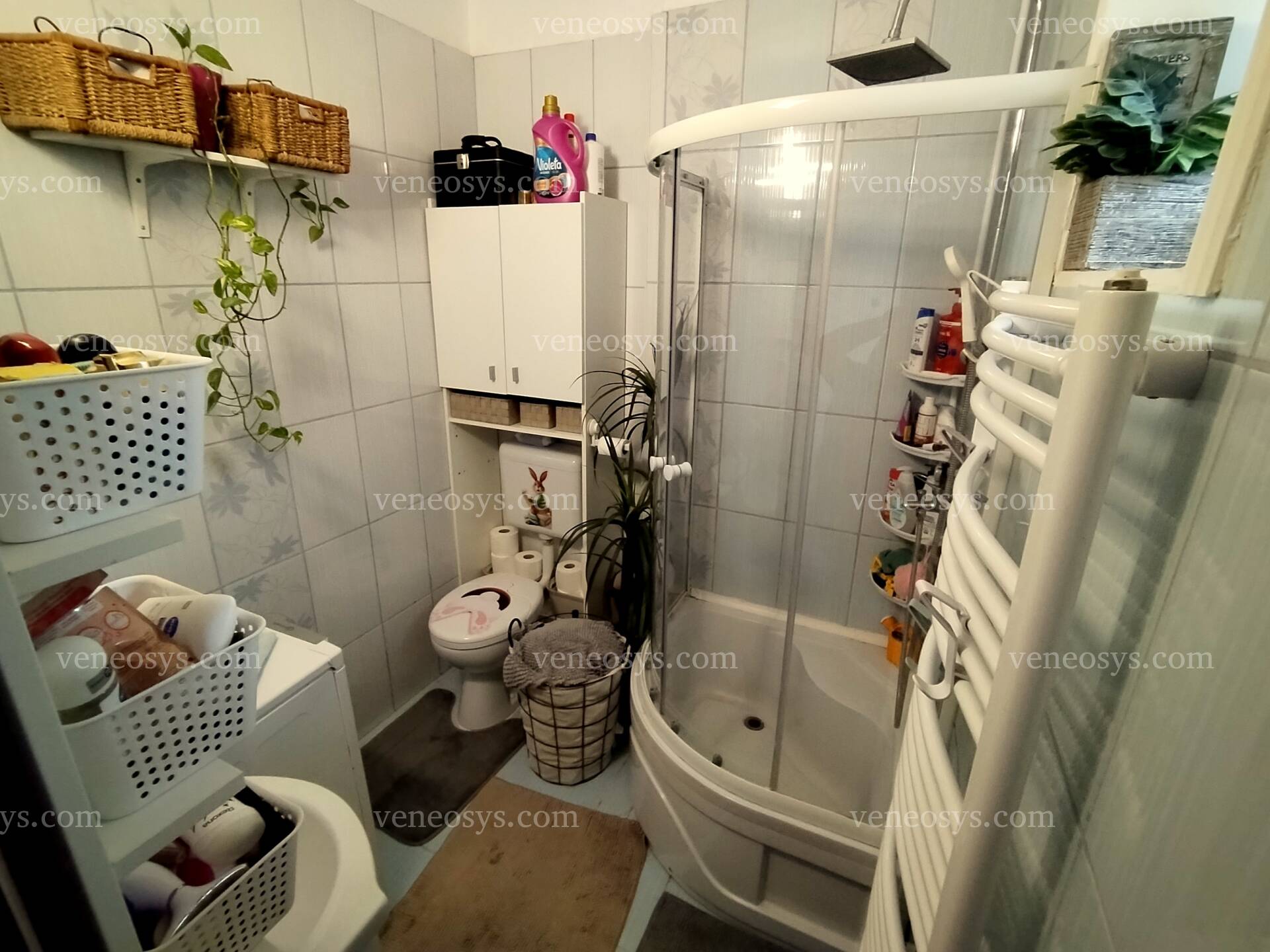 Kép 19