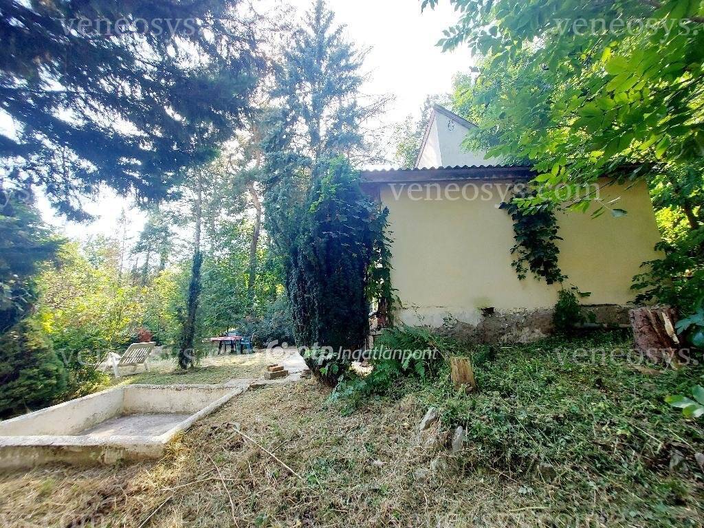 Kép 5