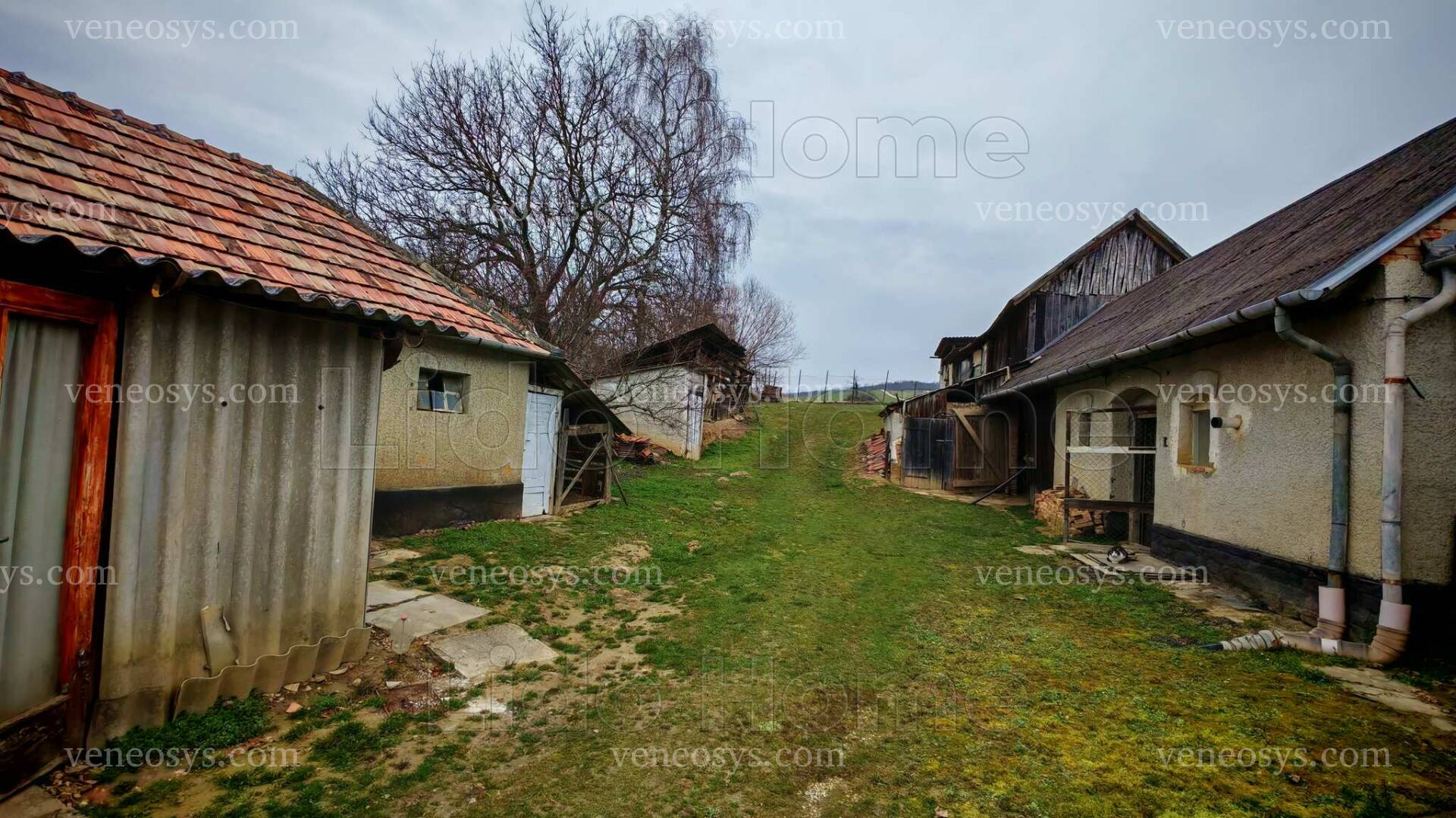 Kép 13