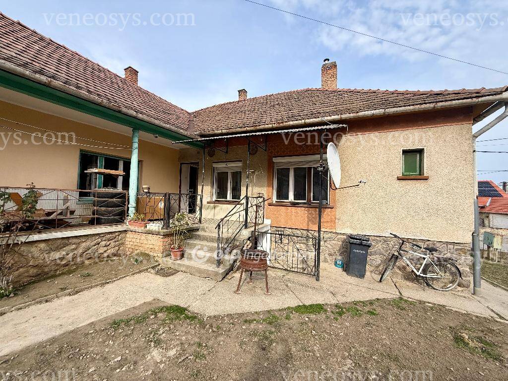 Kép 4