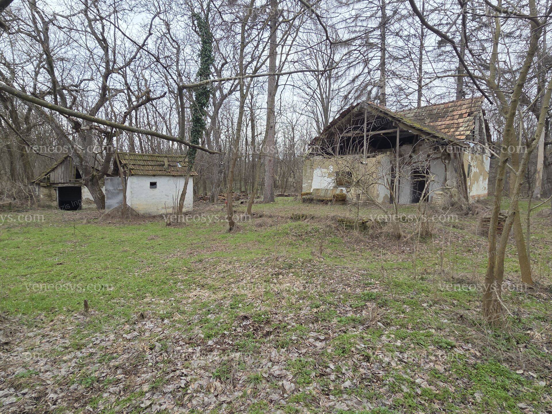 Kép 12