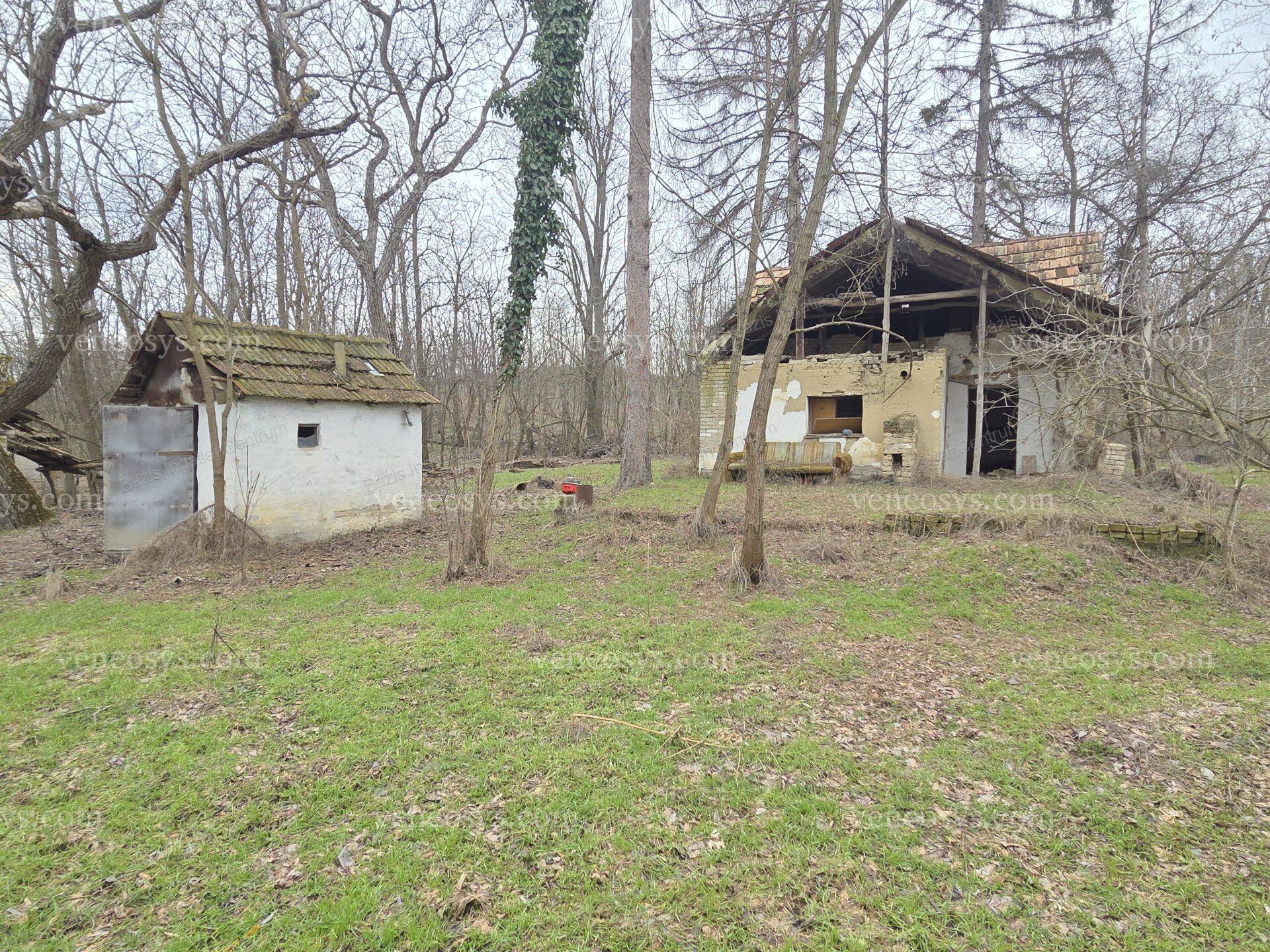 Kép 11