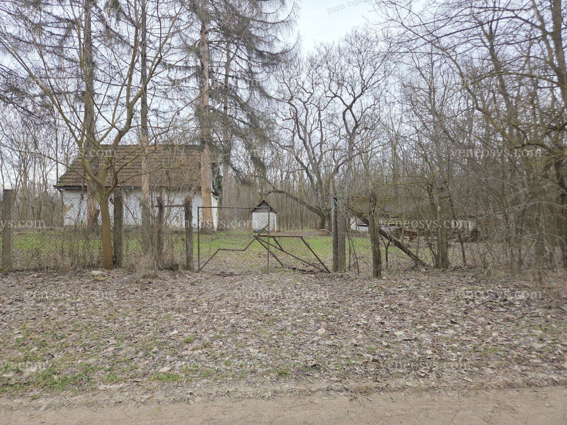 Kép 14