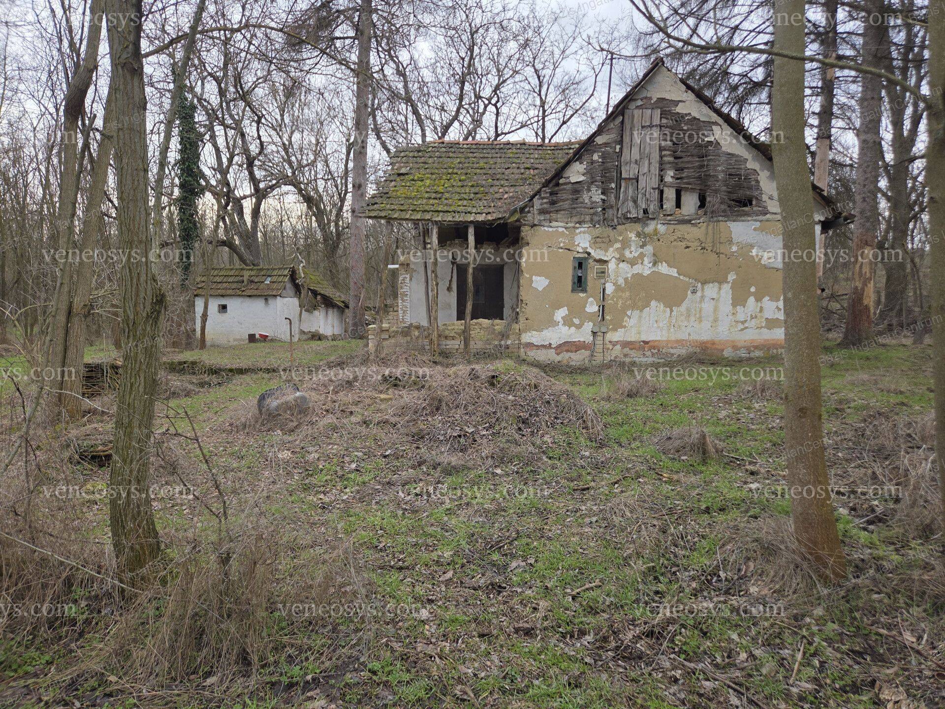 Kép 13