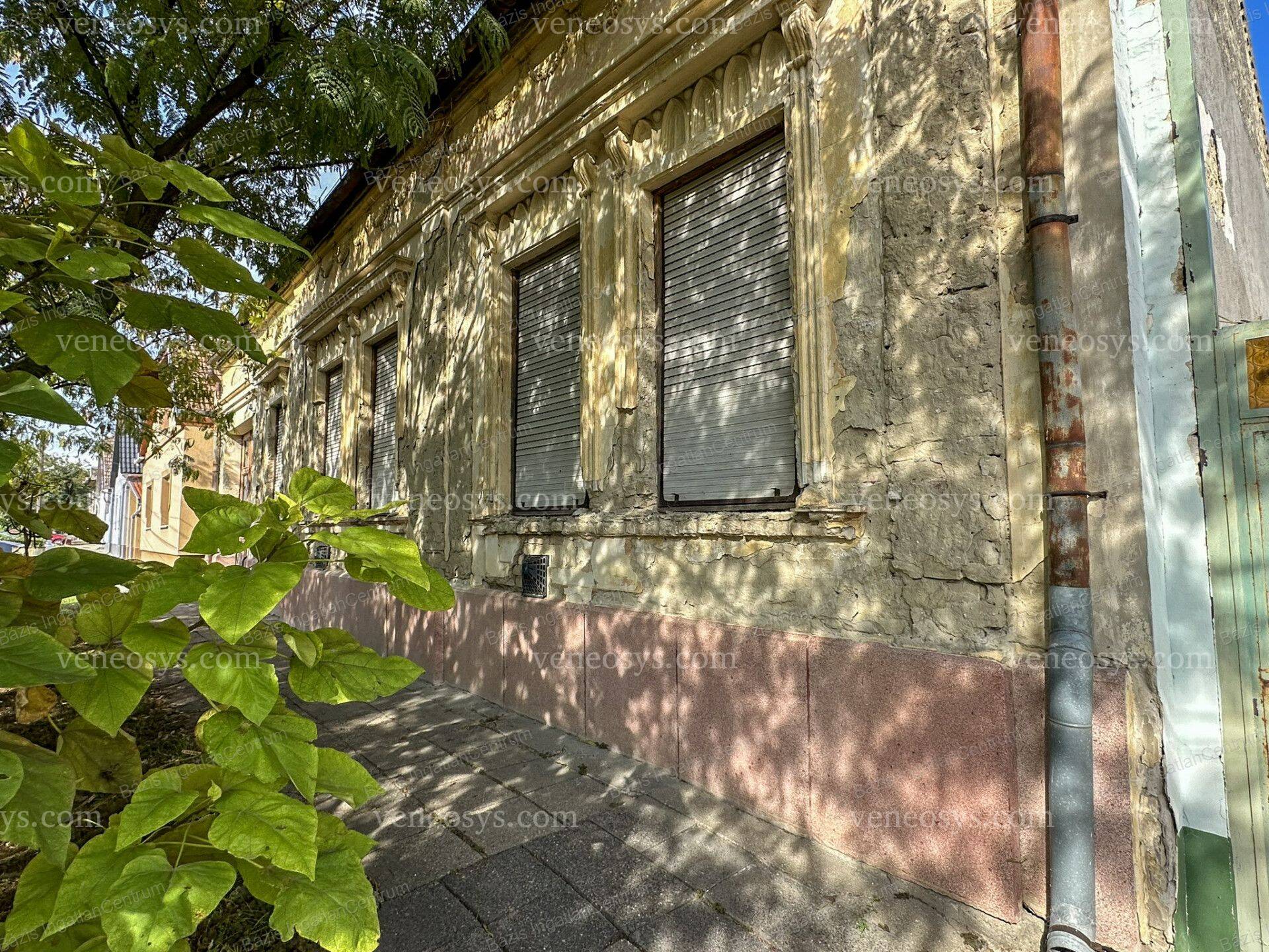 Kép 10