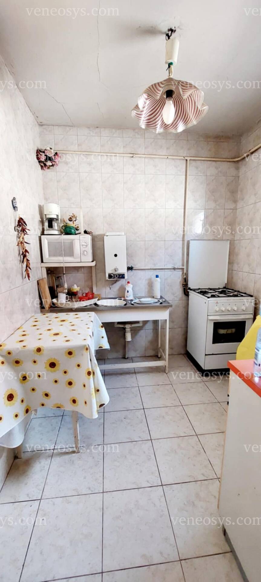 Kép 12