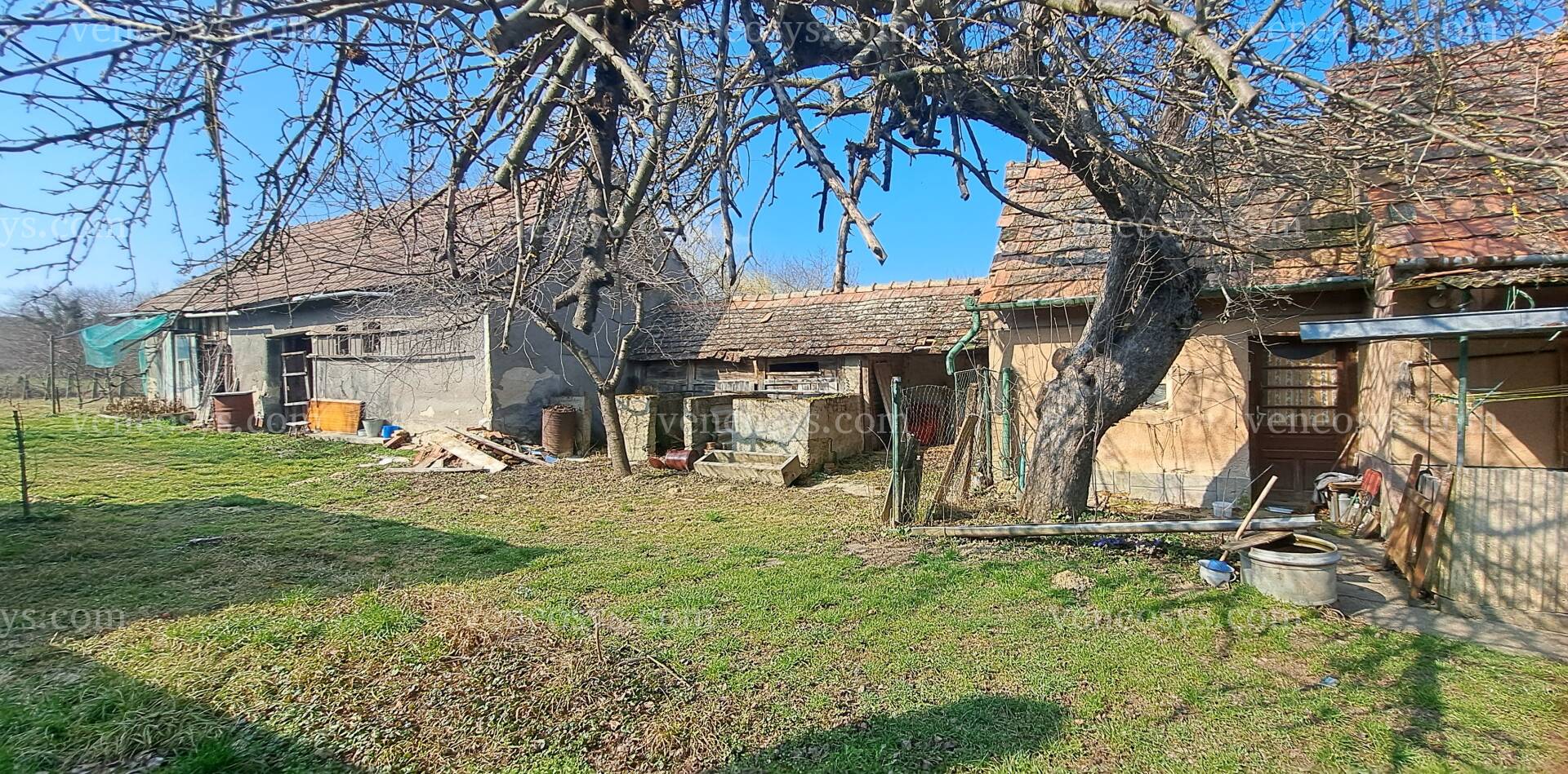 Kép 13