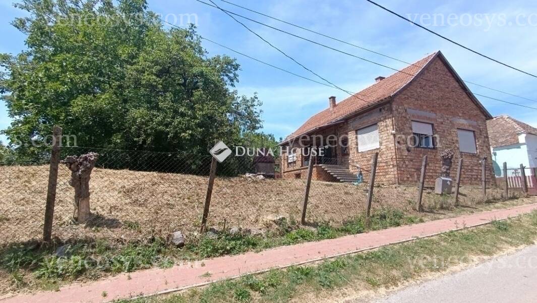 Kép 1