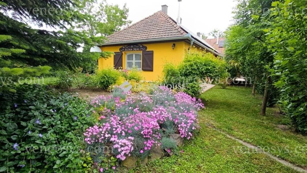 Kép 4