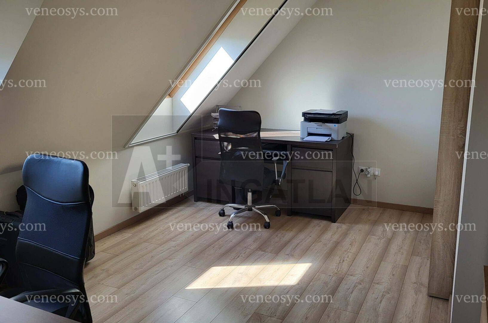 Kép 7