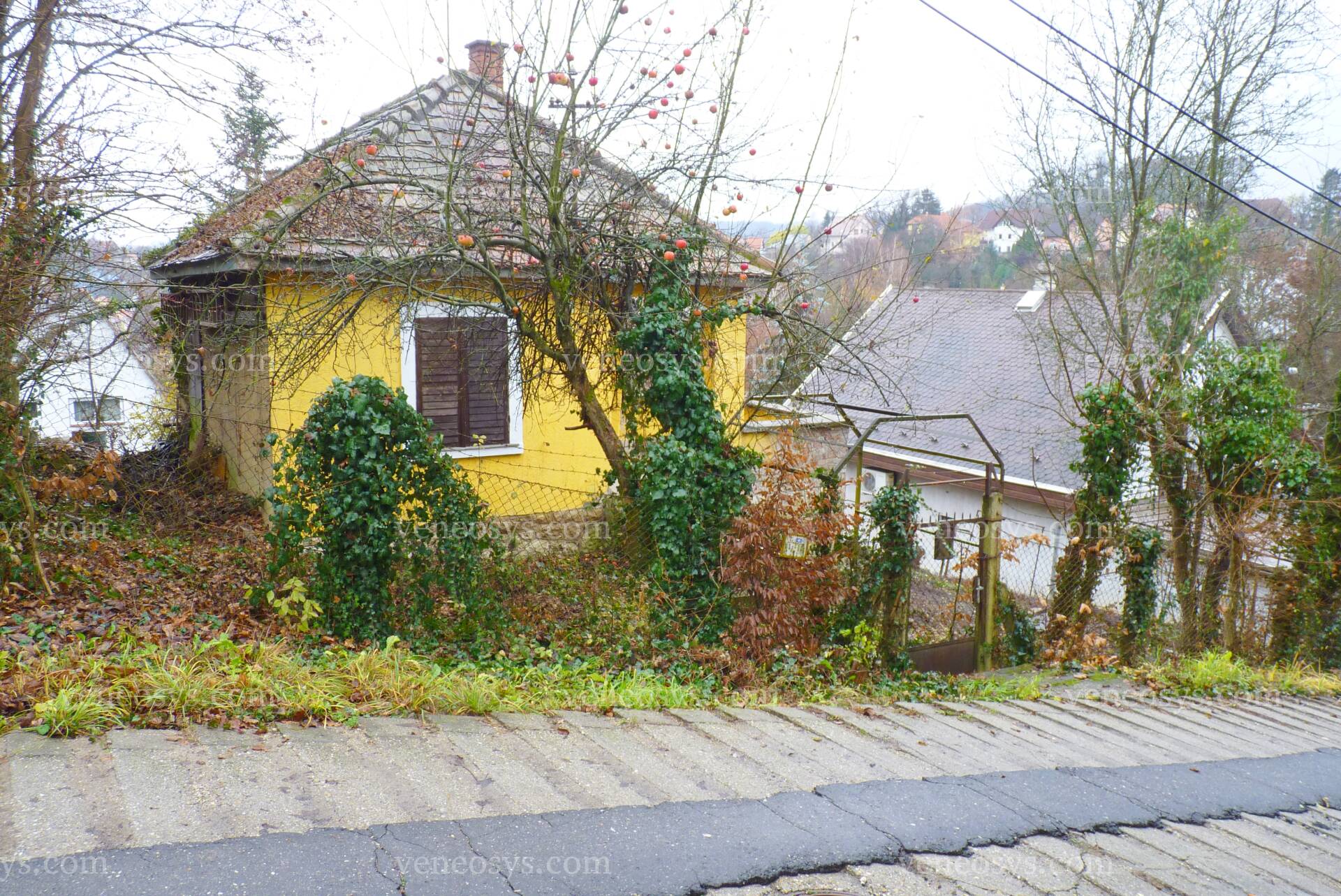 Kép 5