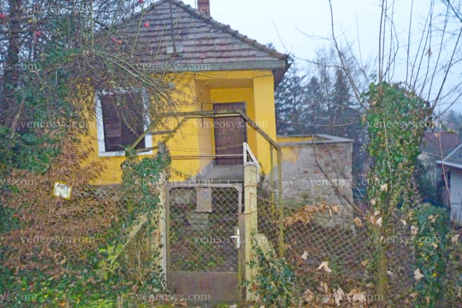 Kép 2