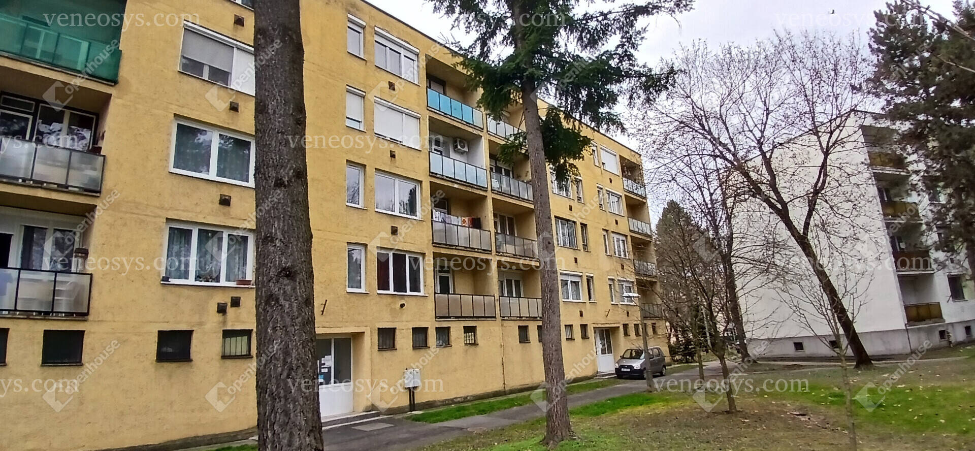 Kép 11