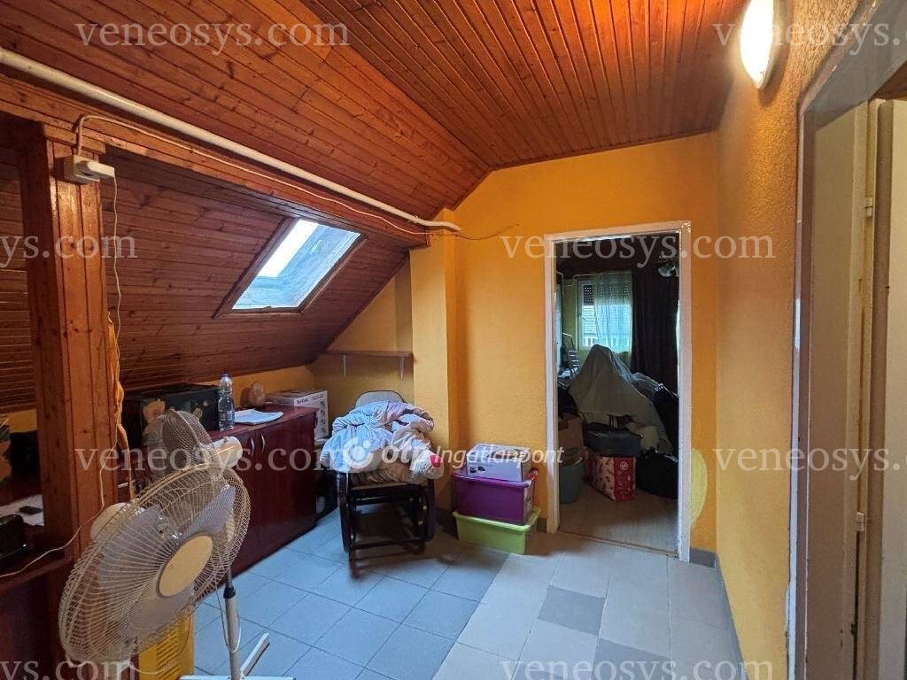 Kép 23