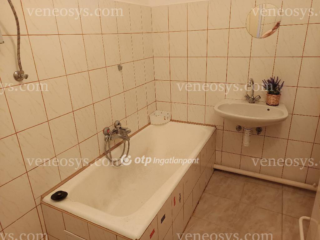 Kép 15