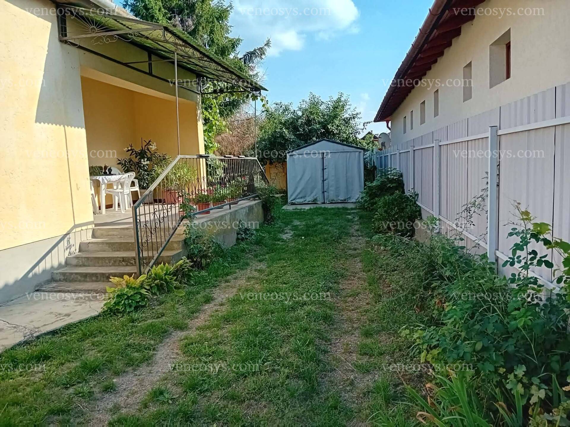 Kép 4