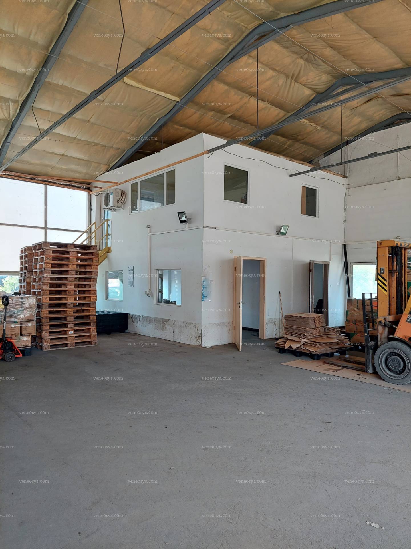 Kép 4