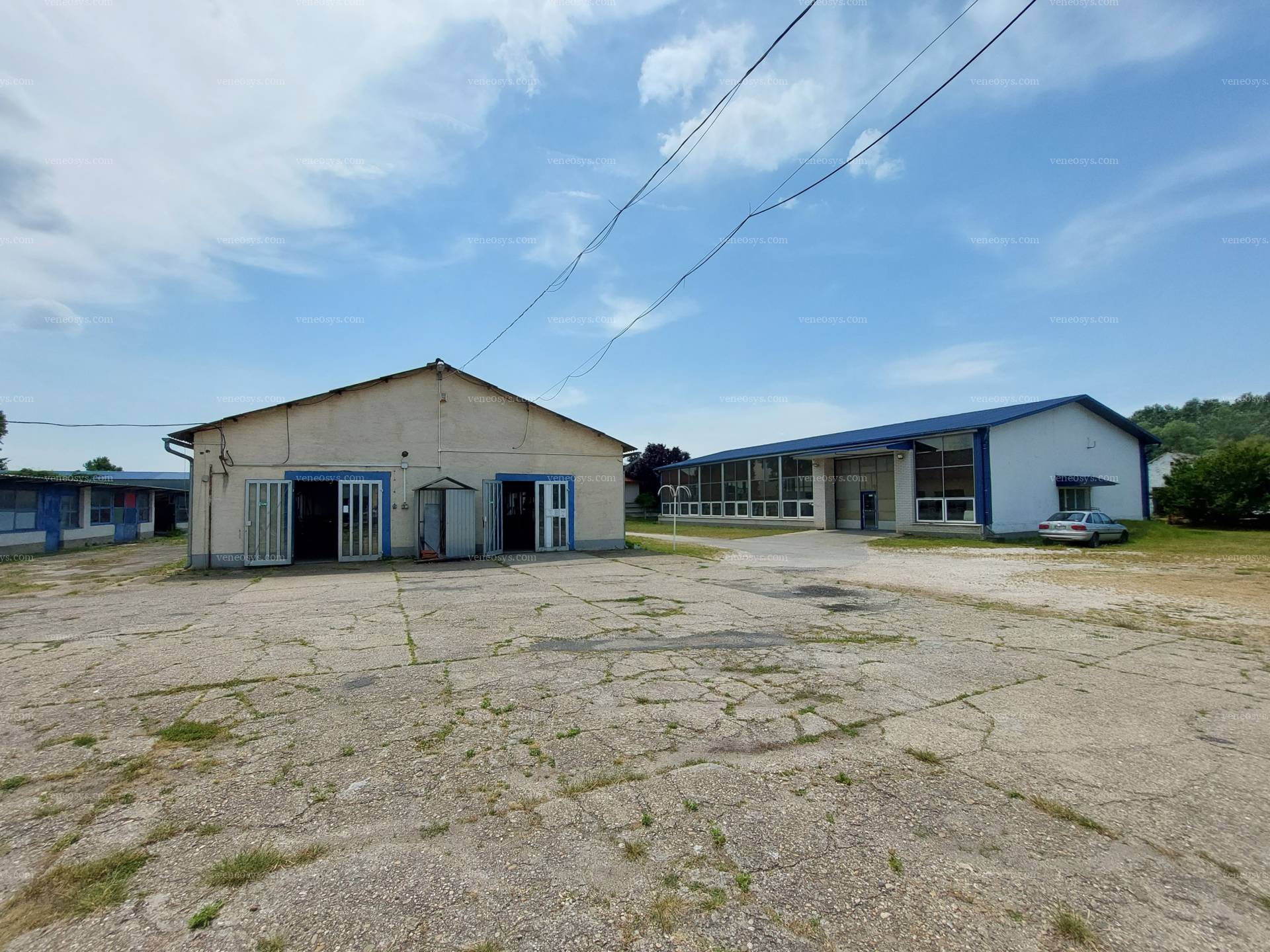 Kép 6