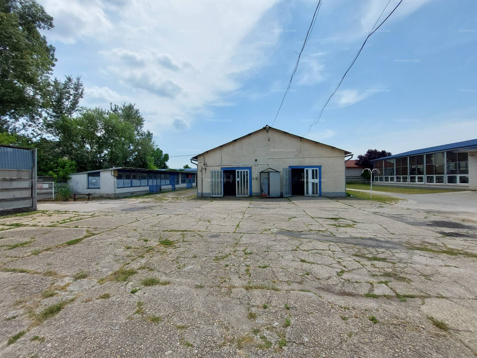 Kép 5