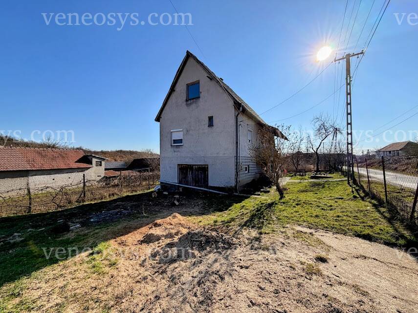 Kép 19